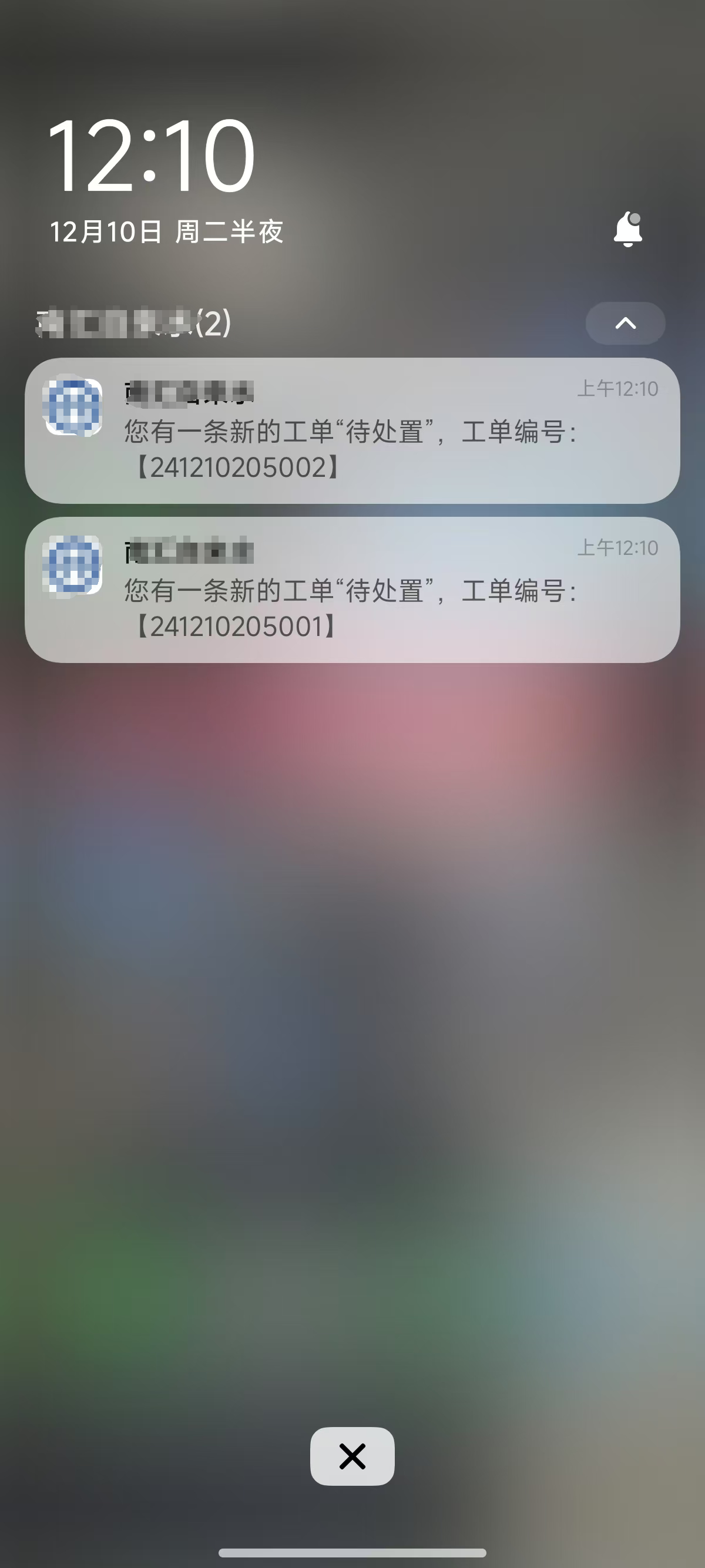31231_do4g_9014.png
